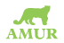 Financing Powered By AMUR